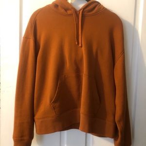 Everlane cropped sweatshirt hoodie